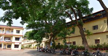 Trees in an Indian city street. Photo: hannahisabelnic via Flikr (Public domain)