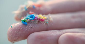 Researcher holding small pieces of micro plastic pollution washed up on a beach 