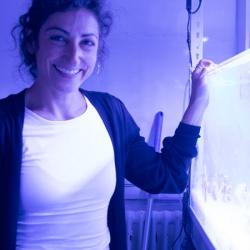 Duygu Sevilgen with her coral tanks