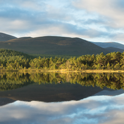 Scottish highlands.