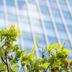 Modern building with green leaves in front of it