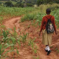 Vumilia walks 10 km to school