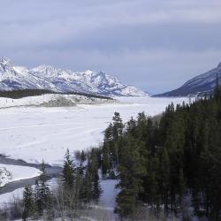 The fieldwork was conducted during the winter because the frozen lake surface provided the researchers with a solid (but freezing) platform for drilling into the sediment