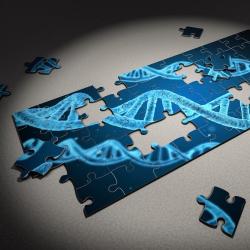 DNA jigsaw