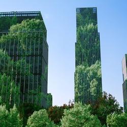 Skyscrapers covered in trees.