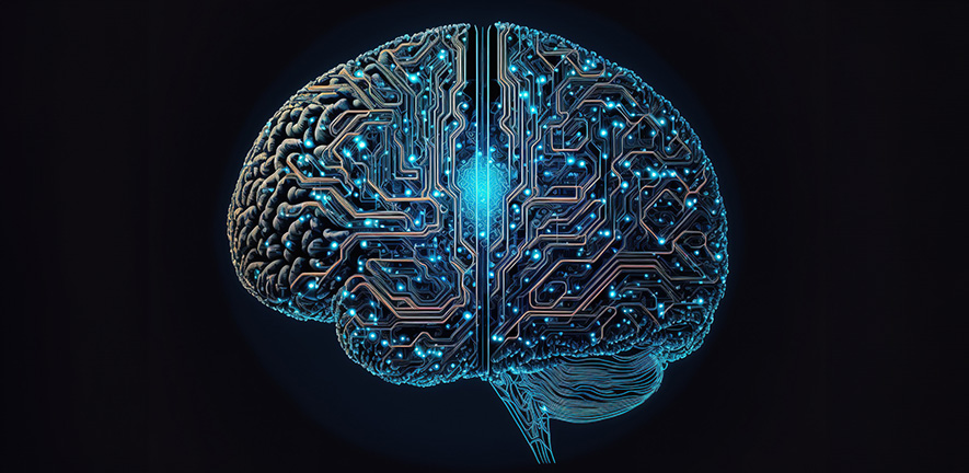 AI system self-organises to develop features of brains of complex ...