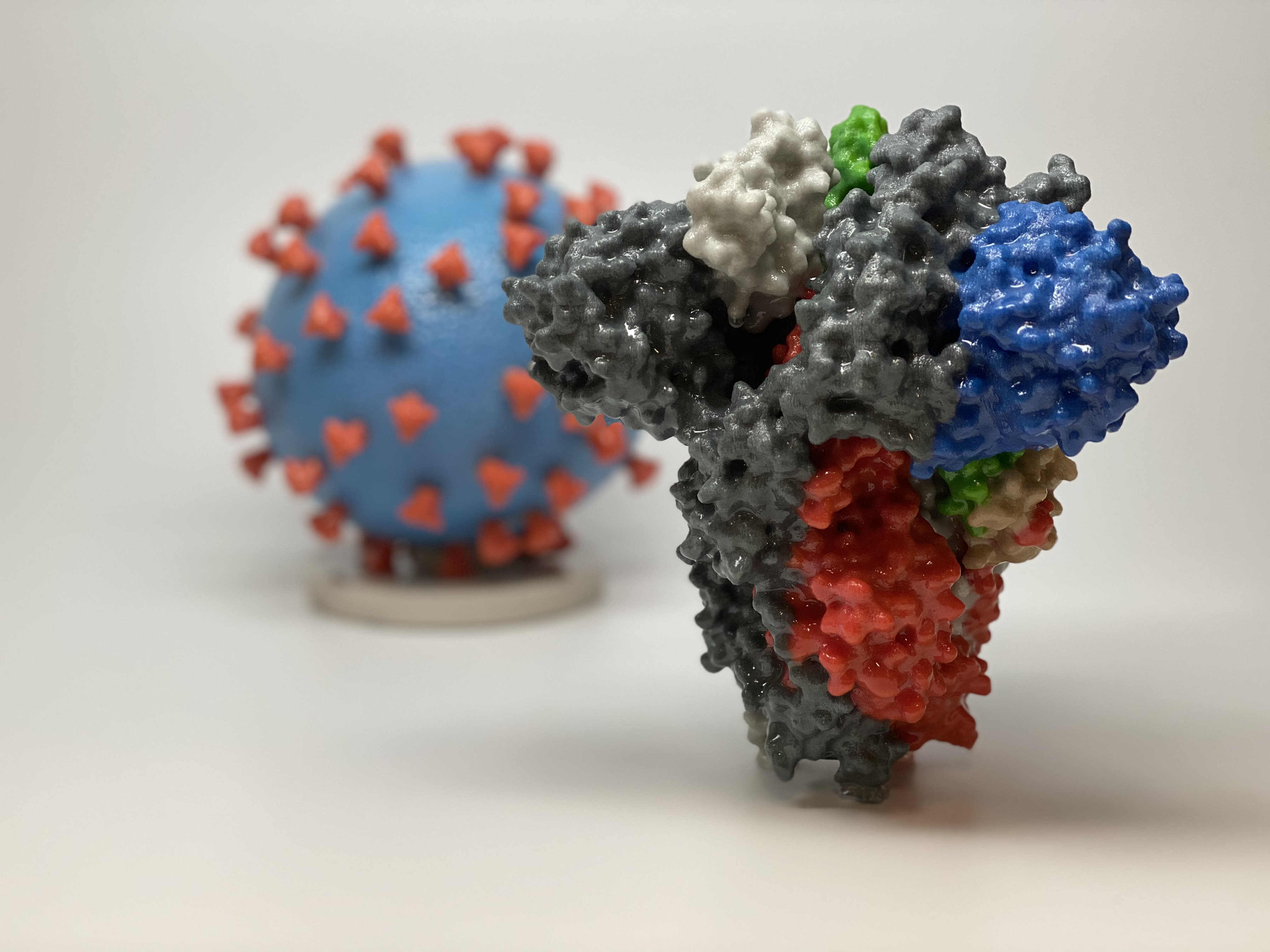 SARS-CoV-2 Spike Protein