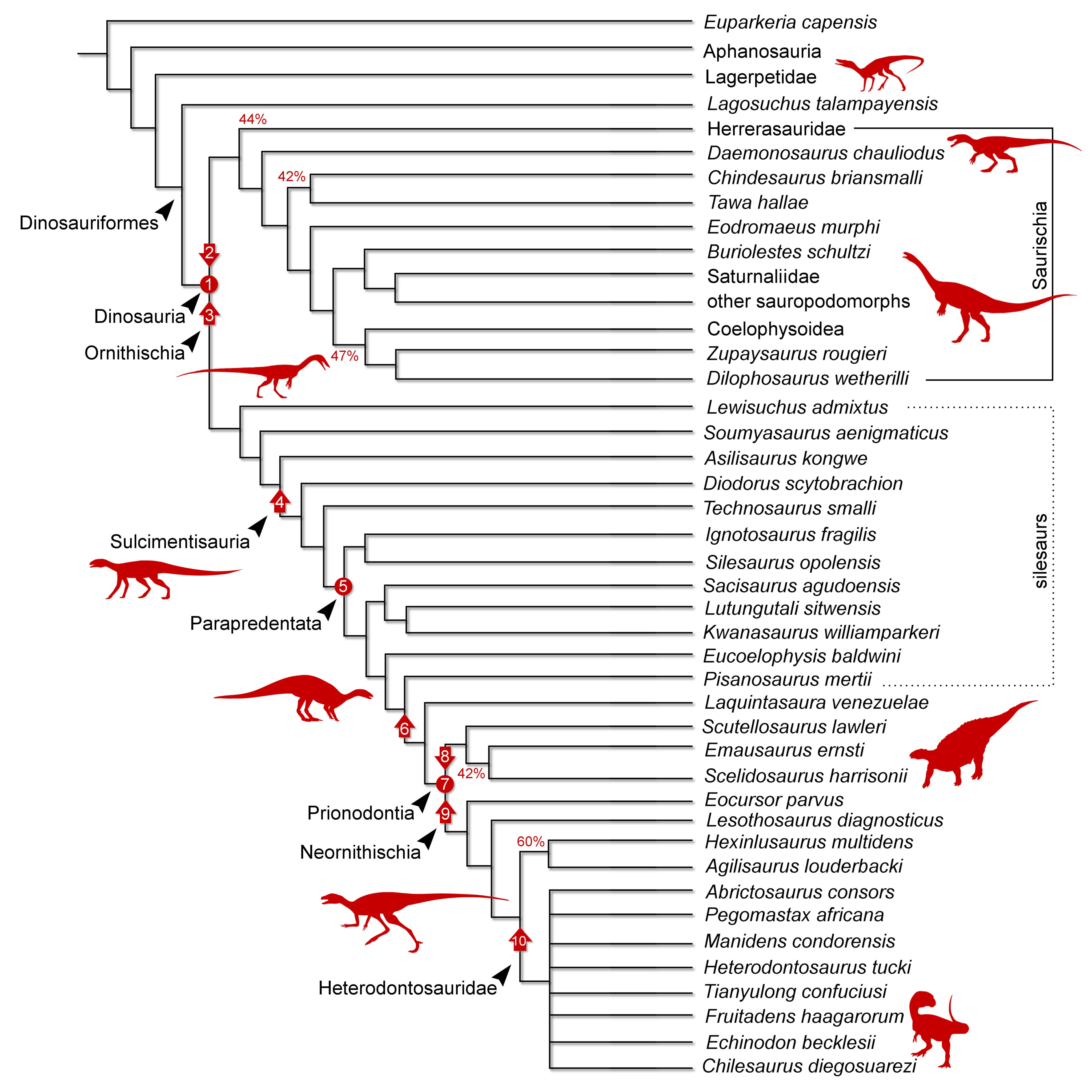 Dinosaur family tree
