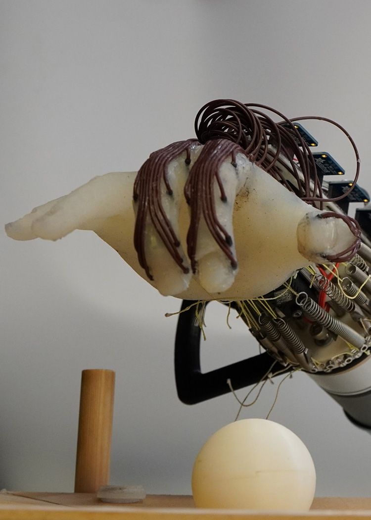 Need a hand? This robotic hand can help you p