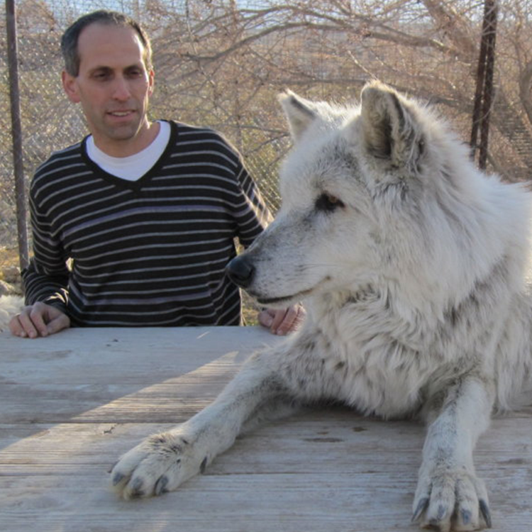 Arik with a wolf