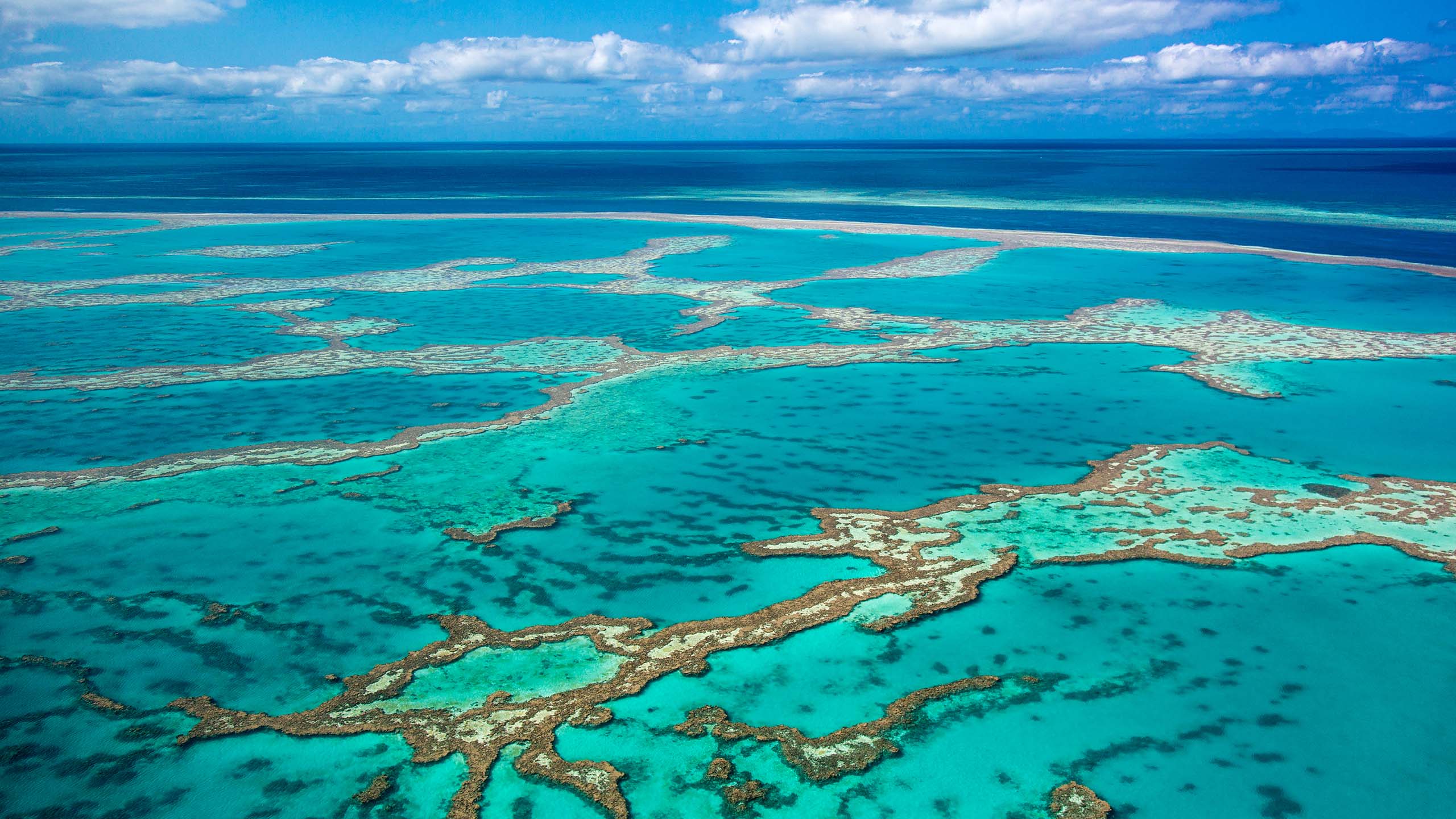 Aerial photo of Great barrier reef showing reef area with some blue water and slightly cloudy sky in background.