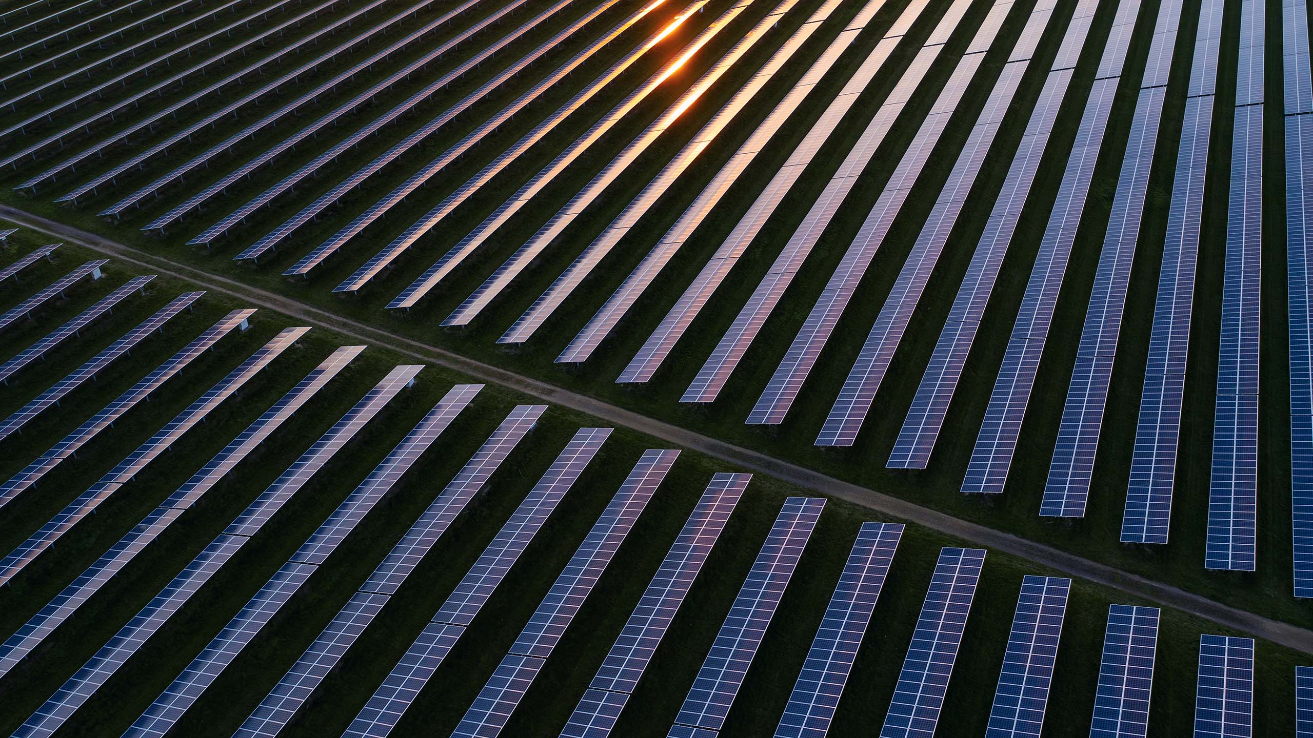 Solar farm photographed from above.