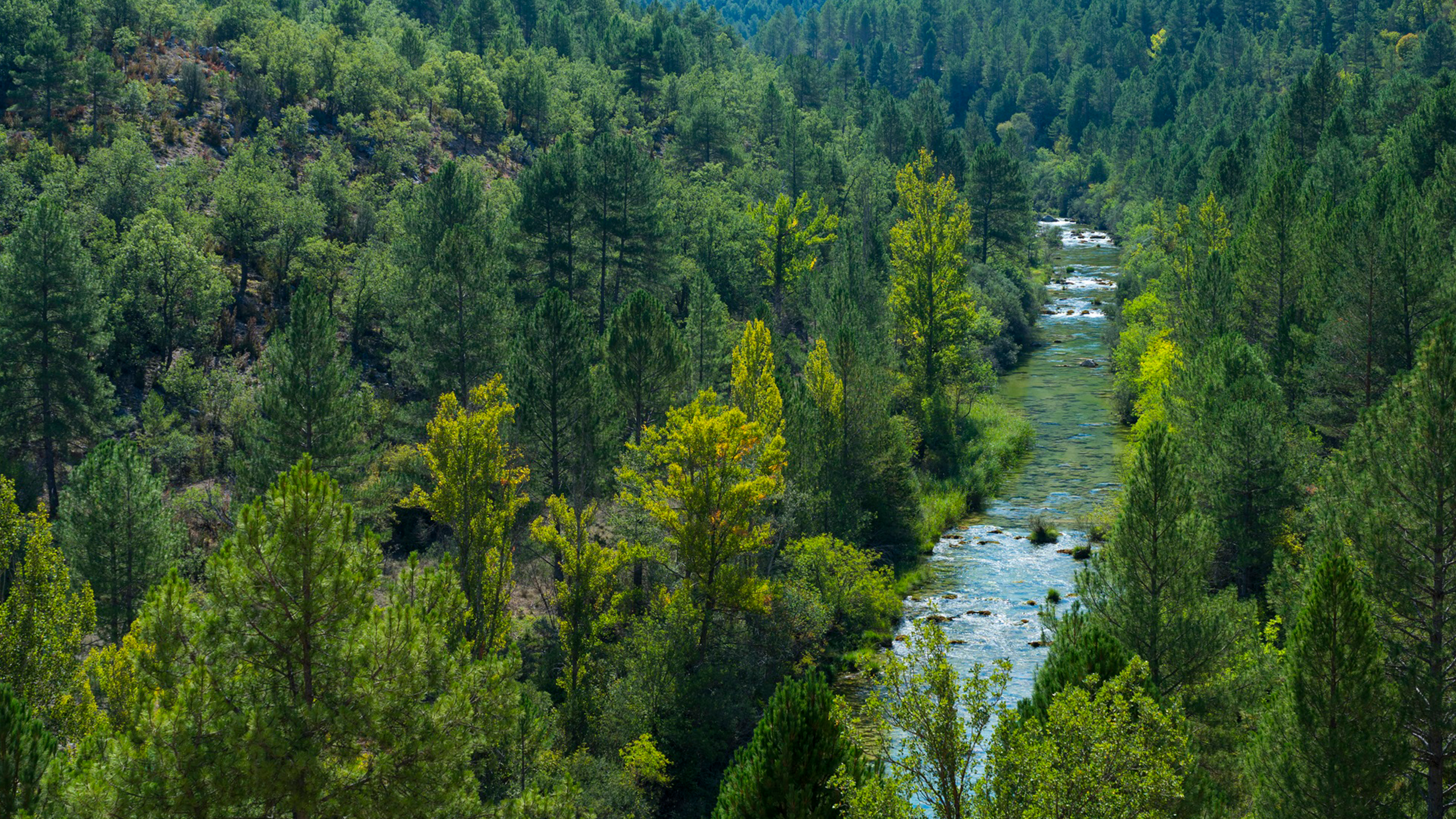 Landscape in the Tajo River, by Juan Carlos Munoz Robredo