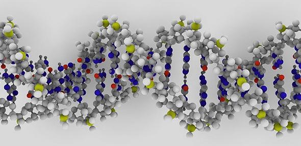 DNA rendering