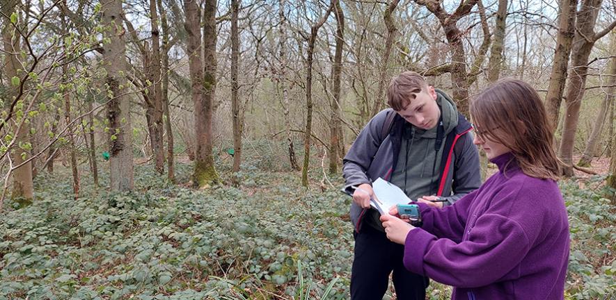 Researchers assess woodland condition at Alice Holt Forest