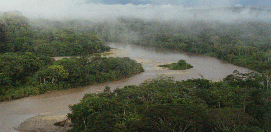 Leading The Battle To Protect The Amazon University Of Cambridge