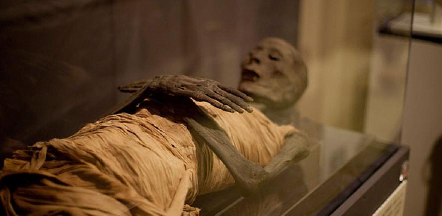 First Complete Genome Data Extracted From Ancient Egyptian Mummies   Mummy 