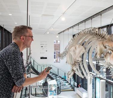 Man using phone to talk to a whale skeleton via artificial intelligence.