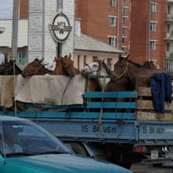 Traffic in Ulaanbaator