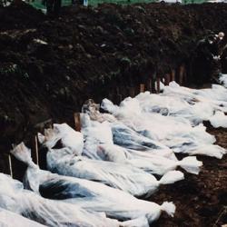 Bodies of people killed in April 1993 around Vitez, Bosnia and Herzegovina.