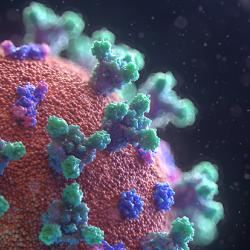Visualisation of the SARS-CoV-2 virus